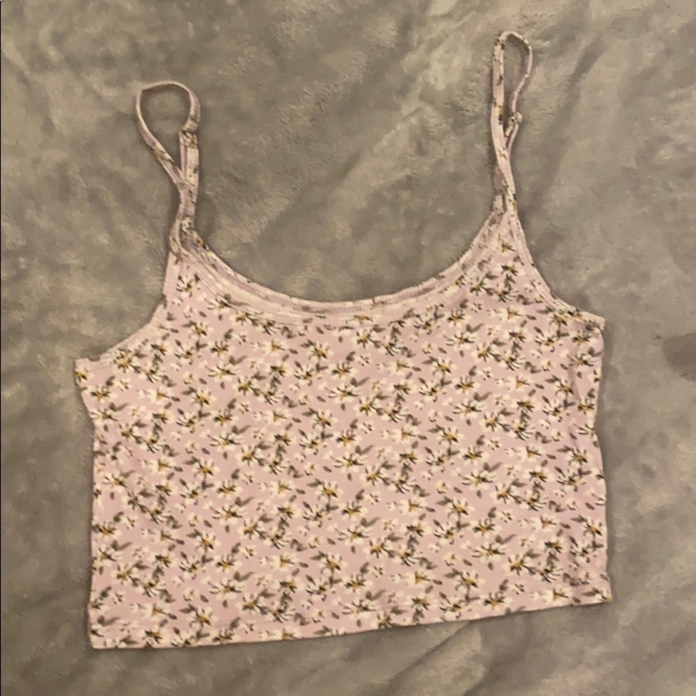 hollister tank